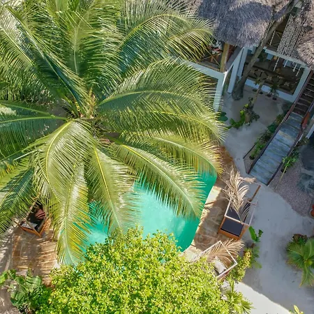 Bed and breakfast Ocean Boho House